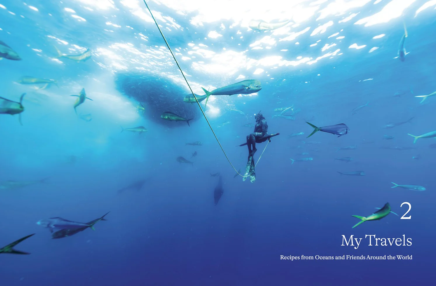 Kimi's Kitchen - Image 3